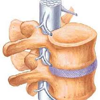 Spinaltreatmentindia