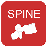 theSPINEMarketGroup.com