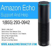 amazonechosetup