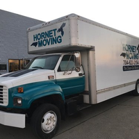 HornetMoving