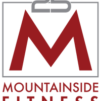 MountainsideFitnessSEO