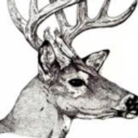 GoupblueWorldwideShopping