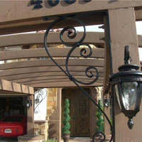 Shorelineornamentaliron