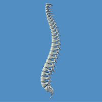 Interactivechiropractic