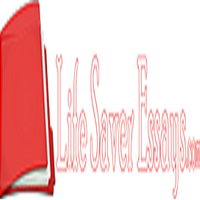 LifeSaverEssays