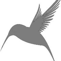 digitalhummingbird