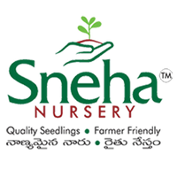 snehanursery1