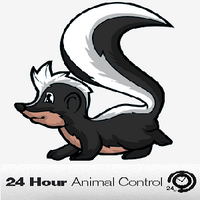 Michigan_Wildlife_Removal