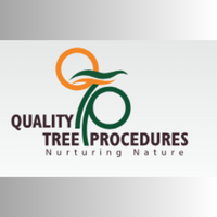 qualitytree01