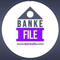 bankefiile1003