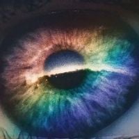 colorkinds
