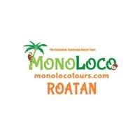 mlocotour-2XuX7l