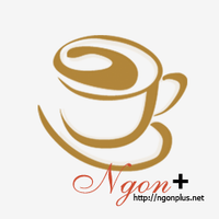 ngonplus