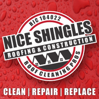 NiceShingles