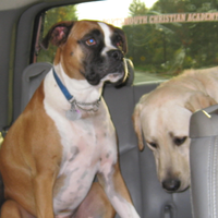 goldeneyephotography