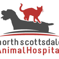 northscottsdalevet