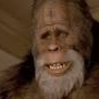 HarrySasquatch1