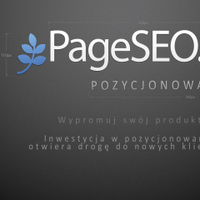 PageSEO