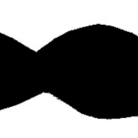 chadcollinscharlestown