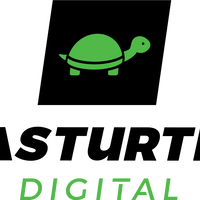 Fasturtle-SEO