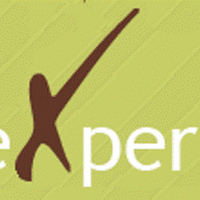 ExpertProfessionalsSEO