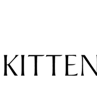 KittenBeachwear