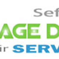 GarageDoorRepairSeffner1