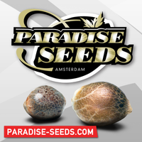 ParadiseSeeds
