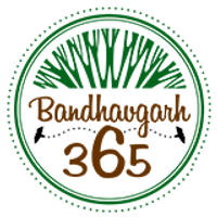Bandhavgarh365