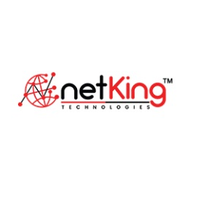 netkingseo