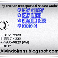alvindotrans