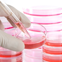 alexanderpotoczakohio