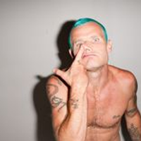 Flea77688