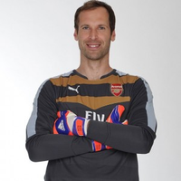cech77688