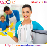 maidszone