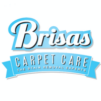 brisascarpetcare