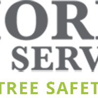 PriorityTreesservice