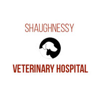 shaughnessyvet