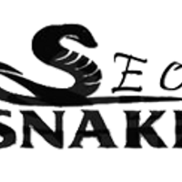 Seo-snake