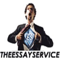 Theessayservice