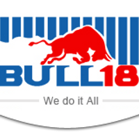 bull18cleanersm