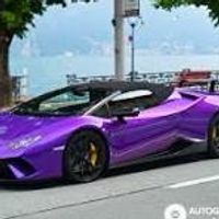 fyvexoticcar00