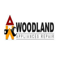 BrandsrepairVA