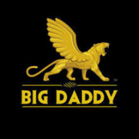 bigdaddygame924