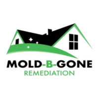 MoldBGone01