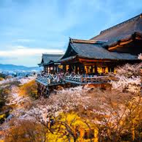 kyotodailytours