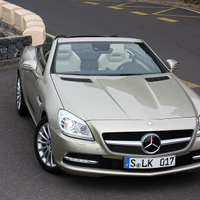 Dentontaxis