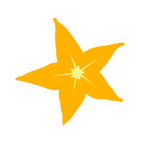 Tamarindo_COM