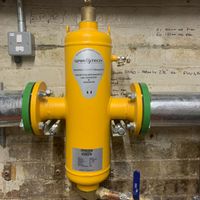 kensingtongaseng