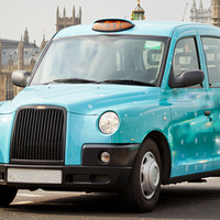 Surbitontaxis